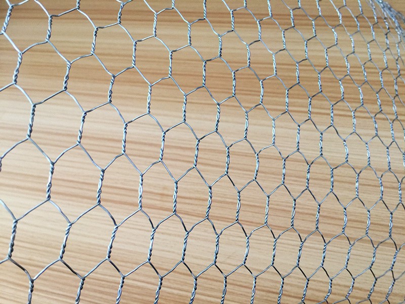 巴中六角網(wǎng)